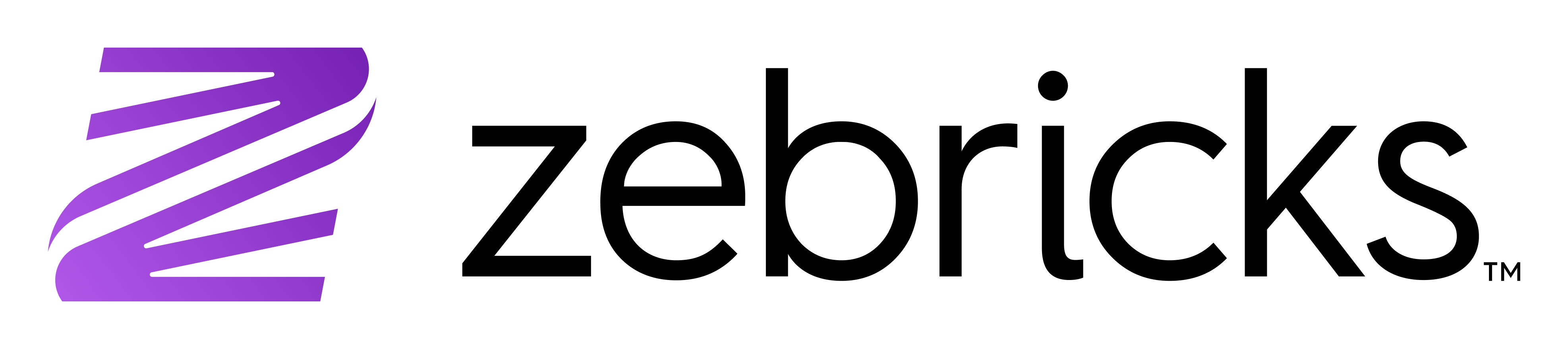 Zebricks Logo